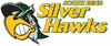 South Bend Silver Hawks logo