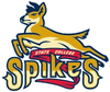 State College Spikes
