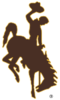 Wyoming Cowboys logo