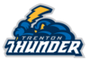 Trenton Thunder logo