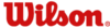 220px-wilson-sports_logo