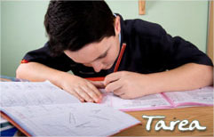 Lesson Picture
