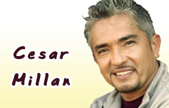 Spanish Lesson - Cesar Millan