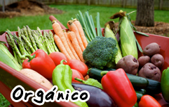 Spanish Lesson - Organic veggies