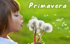 Spanish Lesson - Spring is here