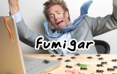 Lesson Picture