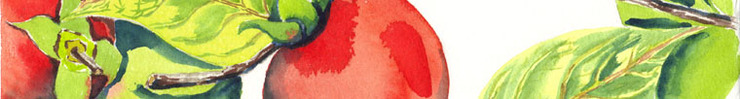 Etsy_banner2_preview