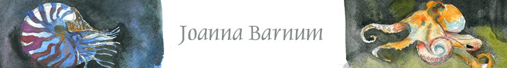Spoonflower_banner_preview