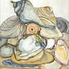 Shells11x11_preview