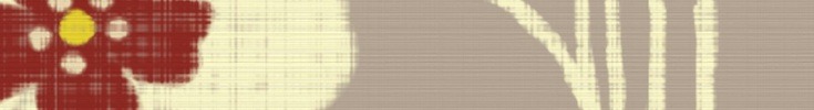 Spoonflower_banner_preview