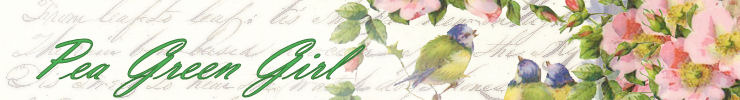Imagerre4_preview