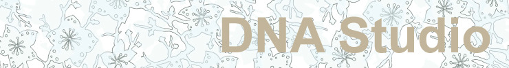 Banner-dnastudio_preview