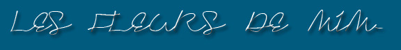 Banner4_preview