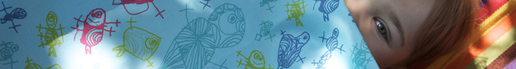Banner_iiris_preview