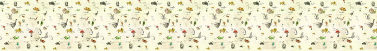 Low-res_charles_darwin_long_preview