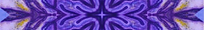 Sea_fan_2_cropped_preview