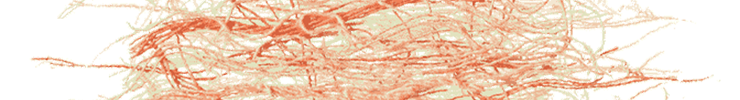 Header_preview