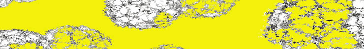 Fabbanner_preview