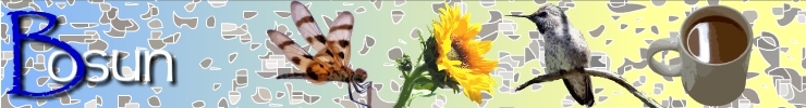 Favorites_banner_preview