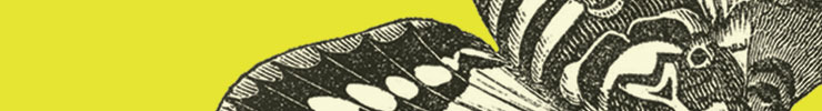 Spoonsflower_header_preview
