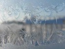 Winters-signature01_preview