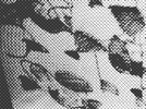 -1_preview