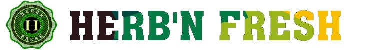 Spoonflower_banner_preview