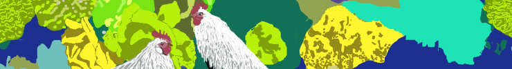 Spoonflower_banner_chicken_preview