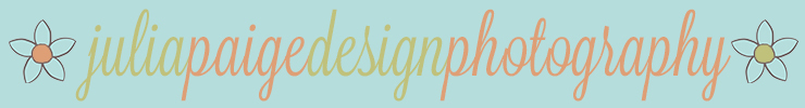 Spoonflowerbanner_preview