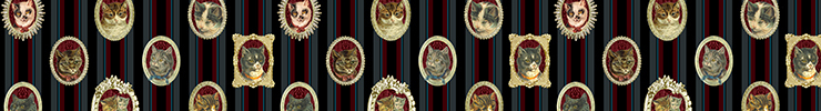 Spoonflowerbanner_preview