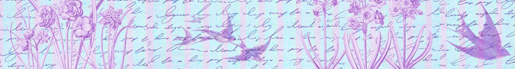 Banner_swallows740x100px_preview