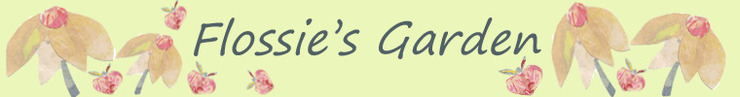 Banner1_copy_preview