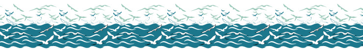 Seabirdsbanner_preview