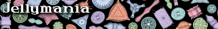 Banner1_preview