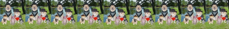 Spoonflowerbanner_preview