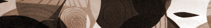 Shopbanner_preview