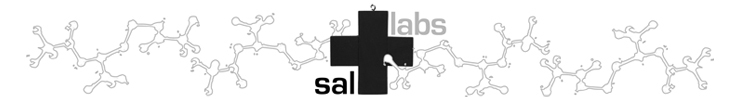 Sf_740x100_pixels_banner_for_saltlabs_preview