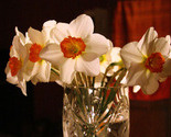 20090301