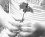 Hand_thumb
