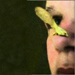 Pollynose_thumb