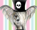 Noid_av_140x140_thumb