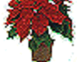 Avatar_for_delfine_1_thumb