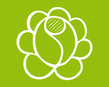 Flower-01_thumb