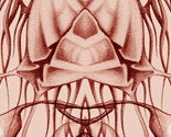 Thumb_thumb