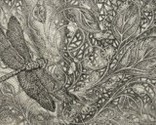 Dragonfly-mist_thumb