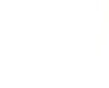 Lemon_lizard_logo_green_and_brown_thumb