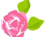 Rosapomposa2_thumb