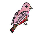 My_bird__thumb