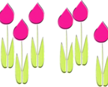 1187260_tulip2