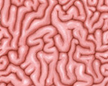 Brain_emblem_thumb